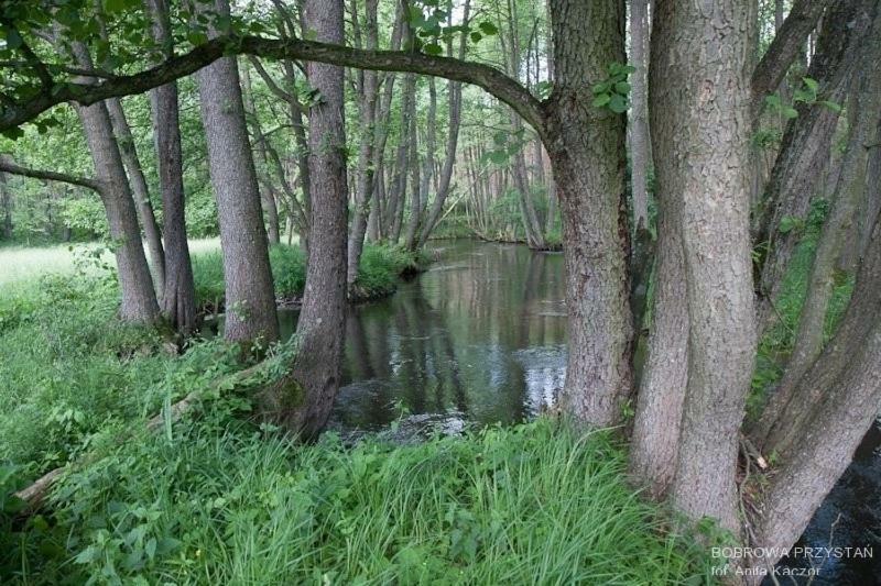 Bobrowa Przystan Villa Czechyn Kültér fotó