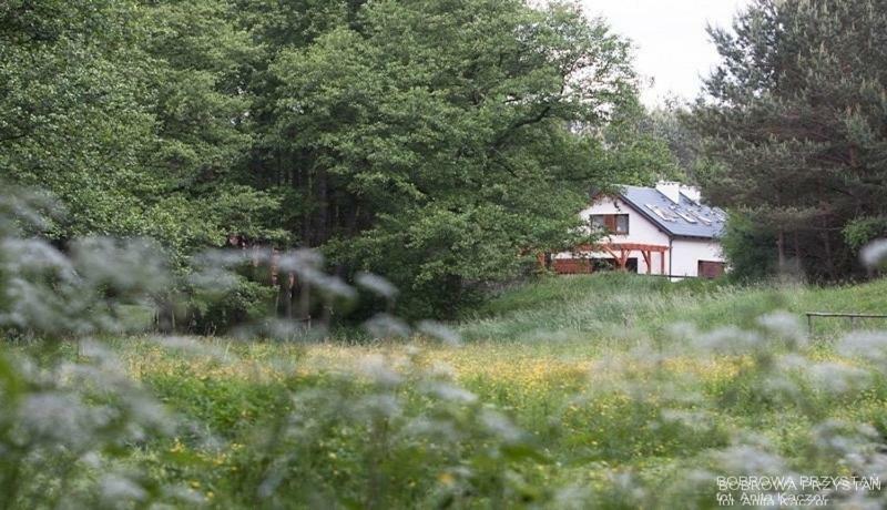 Bobrowa Przystan Villa Czechyn Kültér fotó